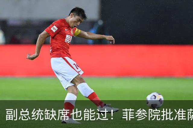 副总统缺席也能过!菲参院批准萨拉 7.852 亿预算:全是政坛面子